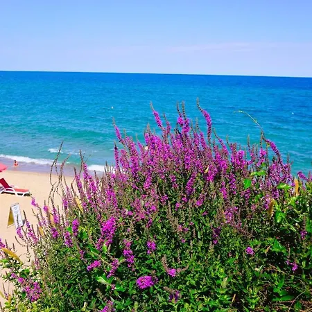 Appartement Byala Vista D - виста бийч апартментс д *