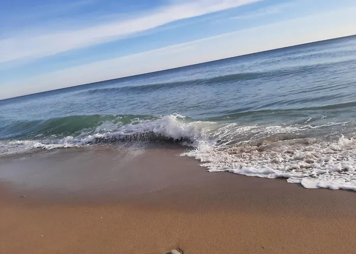 Byala Vista D - виста бийч апартментс д Apartamento *