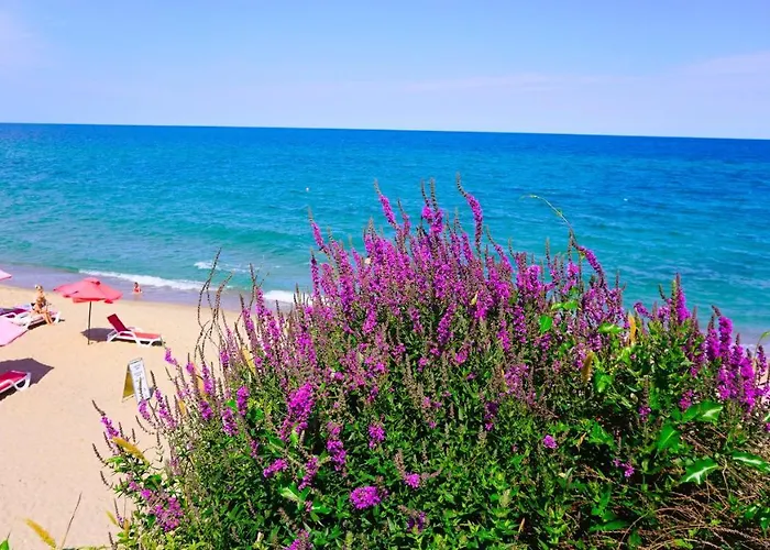 Appartamento Byala Vista D - виста бийч апартментс д *